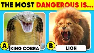How Good Is Your Knowledge of ANIMALS? 🐍🦁🧠 General Knowledge Trivia Quiz