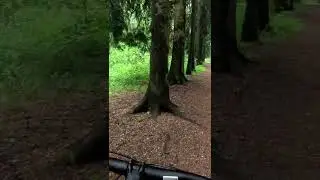 Birulyovo Dendropark Bike Ride Walking #shorts Moscow Boohing