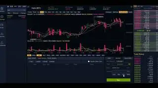 crypto market :Big pump signal