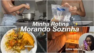Vlogão ROTINA MORANDO SOZINHA✨️moqueca, decoração, rotina noturna e +