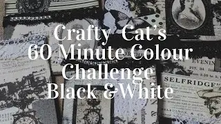 Crafty Cat's BLACK & WHITE 60 Minute Colour Challenge