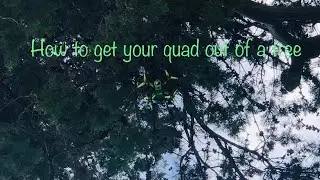 Kamikaze Quad - How to Get a Quad out of a high tree