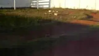 RC Curitiba Off road.