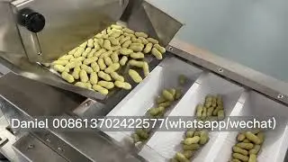 Peanut nuts cashewnut walnut doybag premade bag weighing filling packing machine