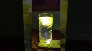 Haldi trending video #science #fun #experiment #chemistry #viral #trending #short #shortsfeed #love