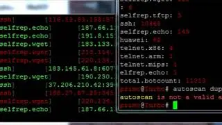 Mirai botnet - dup shit and huawei autoscan [OLDER PUB SHIT]