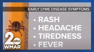 Tick bite emergency visits increasing this summer
