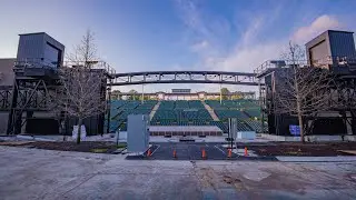 Muny Trees Return!