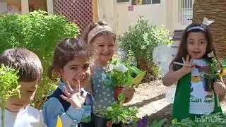يوم التخضير