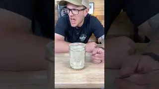 We Freeze Dried Ginger And It Punched Back!