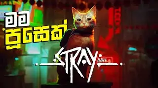 Stray Sinhala Gameplay