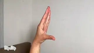 Template Hand Puppet