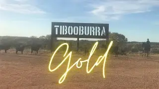 Detecting for gold at Tibooburra with the GPX 6000 @ Les Gold