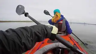 Team Adventure: Bair Island Kayaking