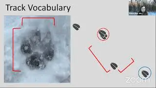WinterTrack and Scat Identification