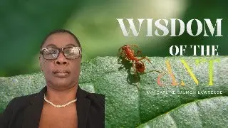 WISDOM OF THE ANT / Min. Carline Salmon - Lawrence / 1-27-2026