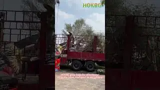 HOKBG grow bags for olive trees ! Lift up by crane, transport to the garden !🌳