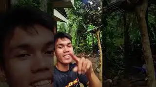 Tips pano magkabit ng rapid backfire para sa bajaj ct100 & ct125