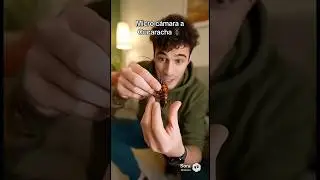 Micro c&aacute;mara a cucaracha 🪳 😱 #microcamara #cucarachas #plaga #cucarachachallenge #humor