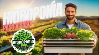 Hidroponía para novatos | Aprende Hidroponía | Construir tu modulo hidropónico