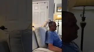 Tango Talk 🦜 #shorts #viralvideo #video #pets #viralshorts  #viraltiktok #youtubeshorts #youtube