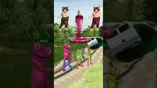 two cute cat baby frog dance stop train #cute #cat #dance #shorts #funny #video