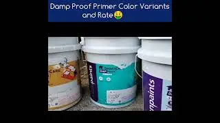 Variants of Asian Paints Damp Proof Primer #shorts #ytshorts #asianpaints
