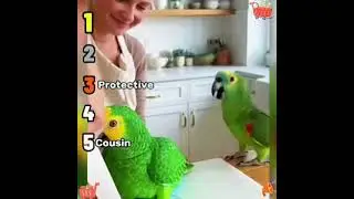 🤣👌👌👌2026 pov Must Watch Crazy Clips Compilation #humor #fypシ #pov #fyp #foryou 😍😜