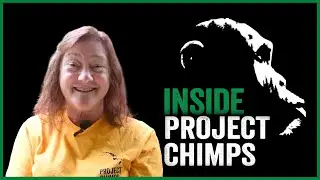 Inside Project Chimps: Interview with Volunteer Linda Olson