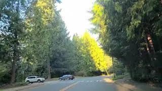 Mill Creek, WA (Fall 2020)