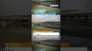 From #Haryana to #Delhi: How Munak Canal has become dumping yard for the dead #News #Updates #Viral