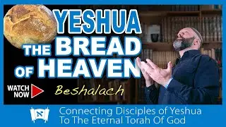 Bread From Heaven | Messianic Commentary on Torah Portion Beshalach