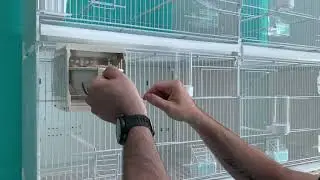 video cova 120