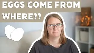 What is Egg Bloom?