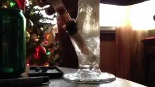 8arm down stem
