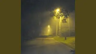 A Head Full of Sounds