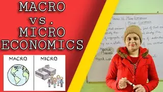 Macro vs Micro Economics | Easy Way To Learn | Study Mantra