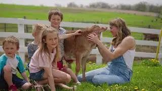 Buzzed into Madison June Dairy Month