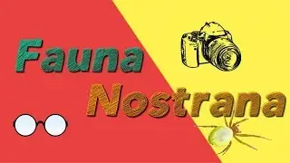 Ragni Italiani | Fauna Nostrana con Commento