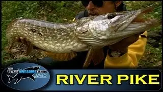 River Pike fishing frenzy - Ep.5 - Series 3 - Totally Awesome Fishing