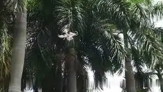 Kamera udara