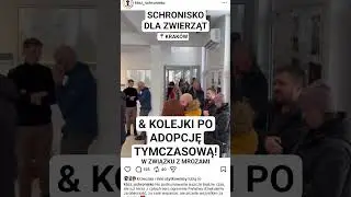 SCHRONISKO DLA ZWIERZĄT & KOLEJKI PO ADOPCJĘ TYMCZASOWĄ