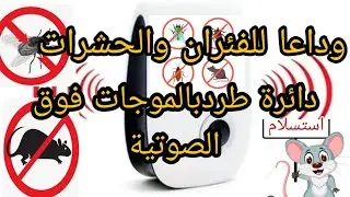 دائرة طرد الفئران والزواحف والحشرات والصراصير
