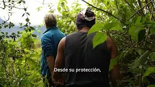 Declaratoria RVS MACHAY_Fundaci&oacute;n EcoMinga