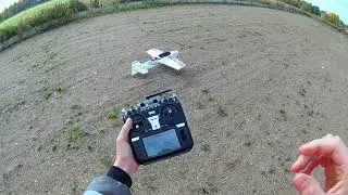 Multiplex AcroMaster | RC Plane