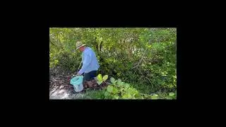 Bowlees Creek Cleanup