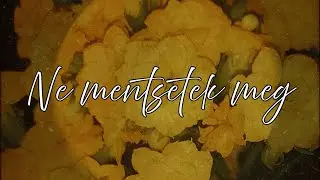 DA KID - Ne mentsetek meg (Audio)