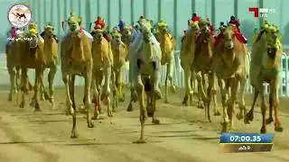 ش1 (الشلفة الفضية) زاخر لـ عبدالعزيز موسى عبدالعزيز آلموسى(مهرجان سمو الأمير المفدى) ت 12:11.70