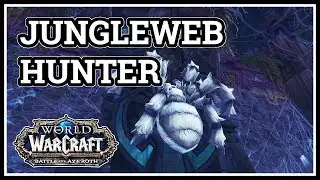 Jungleweb Hunter WoW