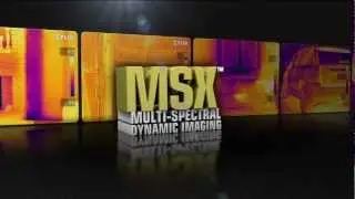 FLIR MSX (Multi-Spectral Dynamic Imaging)